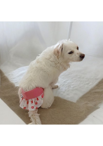 Dişi Köpek Regl Külodu, Çiş Külodu