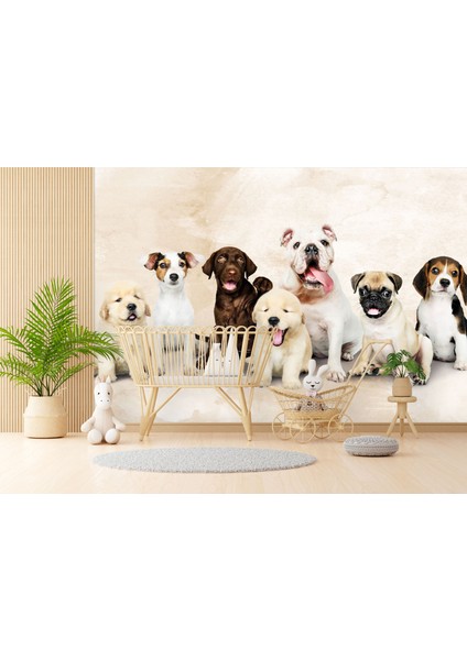 Köpek Yavruları Duvar Kağıdı Pet Duvar Resmi Çocuk Odası Duvar Posteri