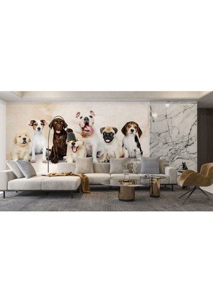 Köpek Yavruları Duvar Kağıdı Pet Duvar Resmi Çocuk Odası Duvar Posteri