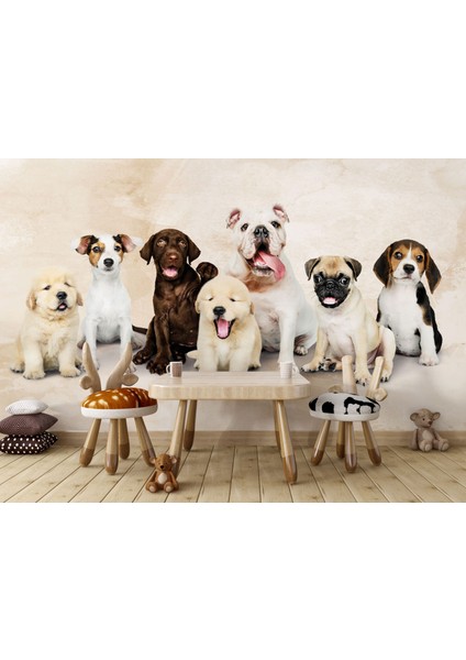 Köpek Yavruları Duvar Kağıdı Pet Duvar Resmi Çocuk Odası Duvar Posteri