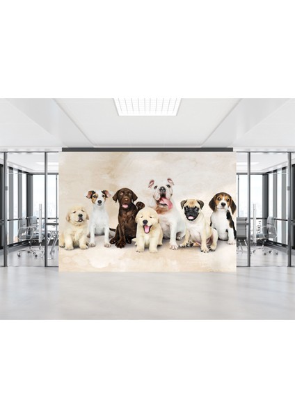 Köpek Yavruları Duvar Kağıdı Pet Duvar Resmi Çocuk Odası Duvar Posteri
