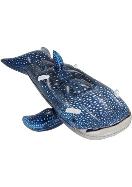 Yüzen Köpek Balığı Yatak