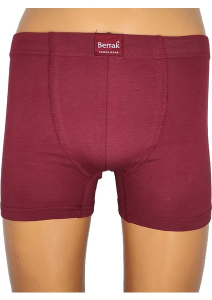 Berrak 4498 Erkek Büyük Beden Renkli Boxer