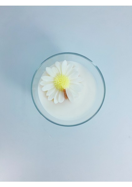 Soya Wax Natural Mum - Daisy fiyatları