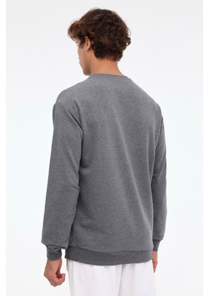 M-SN90 Bsc C Sw 3pr Gri Erkek Sweatshirt fiyatları