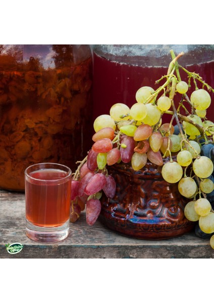 Sizin Bahçe Çiftliği Üzüm Sirkesi 1000 Ml.