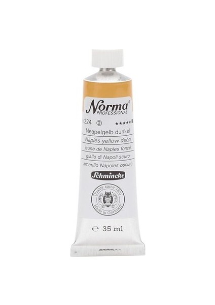 Norma Professional Yağlı Boya 35 ml Naples Yellow Deep