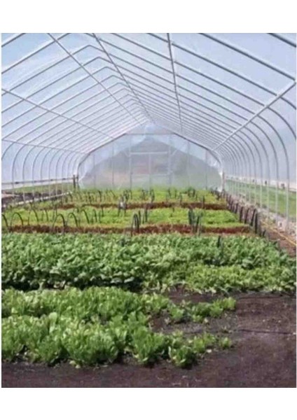 10 x 25 Mt, 36 Ay, 400 Micron, Ultra Kalın, Imc Plastik, Full Uv Katkılı Sera Örtüsü Naylonu fiyatları