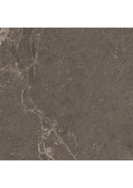 60X60 Meteorite Fon Vizon R10B Porselen Karo K953498R0001VTE0