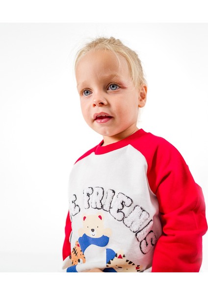 Overdo Erkek Çocuk Uzun Kollu Sweatshirt