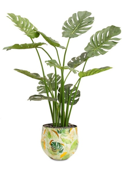 Lush Botanic S Saksı