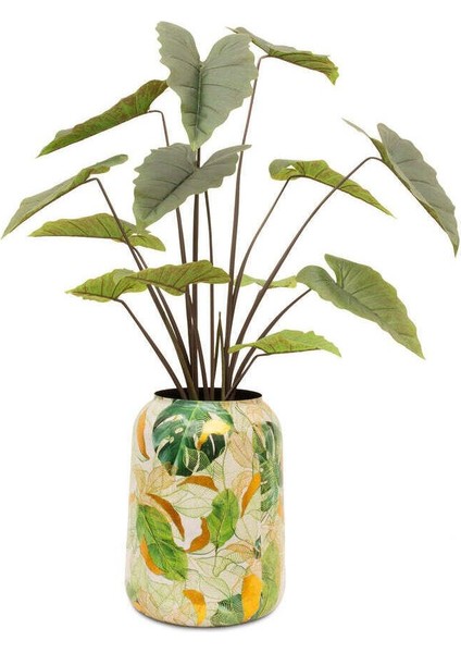 Lush Botanic S Saksı