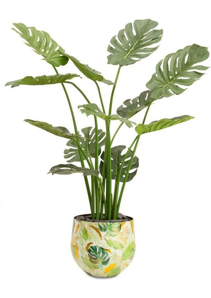 Lush Botanic Xl Saksı fiyatları