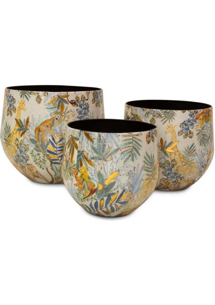 Cobalt Jungle L Saksı fiyatları