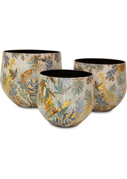 Cobalt Jungle Xs Saksı fiyatları