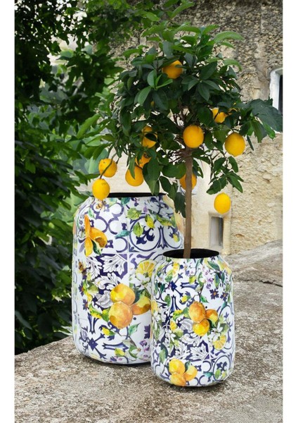 Lemon Fusion L Saksı modelleri