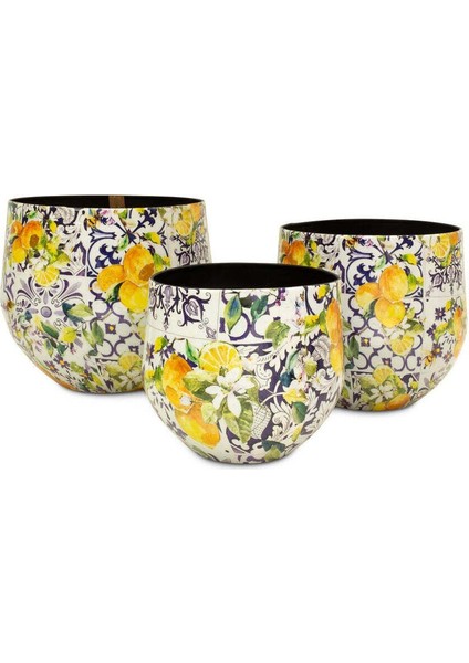 Lemon Fusion L Saksı fırsatları