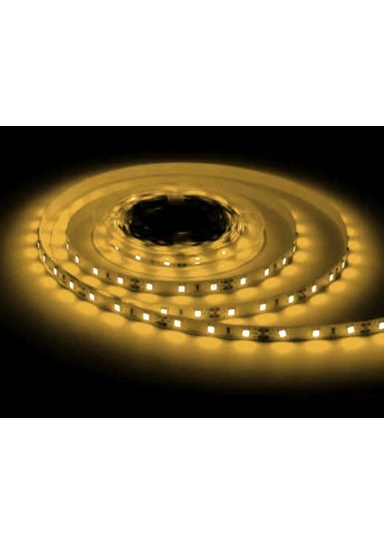 5 Metre Serıt LED 3000K 12V 4040