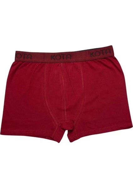 Erkek Likralı Boxer 1000