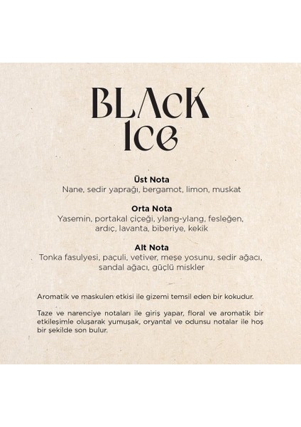 Black Ice A1 Koku Kartuşu 200 ml modelleri