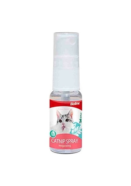 Catnip Kedi Otu Spreyi 15 ml