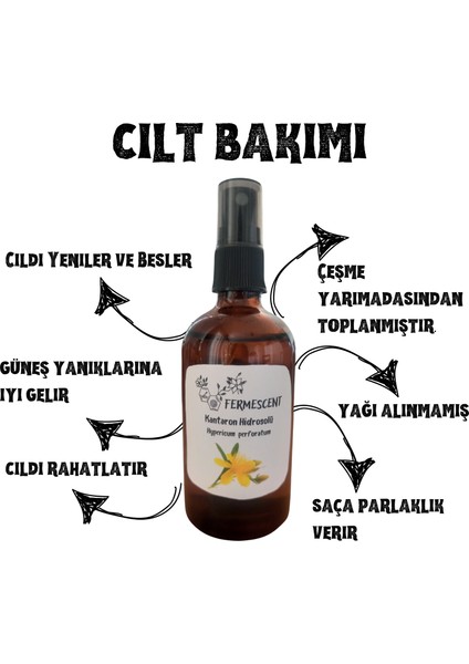 Kantaron Suyu - Hidrosolü - Güneş Sonrası Bakım - Besler - Yeniler - Özel Ürün - 100 ml