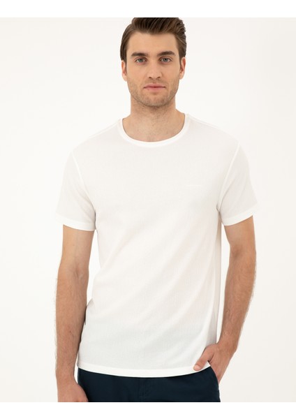 Erkek Ekru Slim Fit Tişört 50288914-VR019