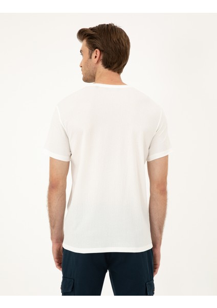 Erkek Ekru Slim Fit Tişört 50288914-VR019