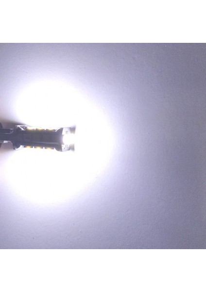 H6W LED Beyaz Işık Park Ampulü PH7744 Cb fiyatları