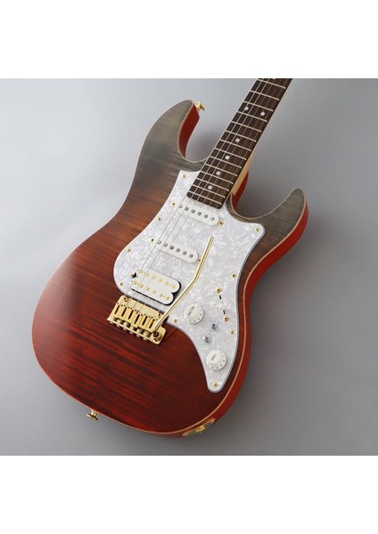 EOS2FMR/RKG Odyssey Elektro Gitar