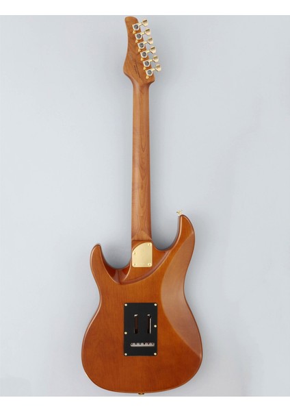 EOS2EW1RM/HCB Odyssey Elektro Gitar