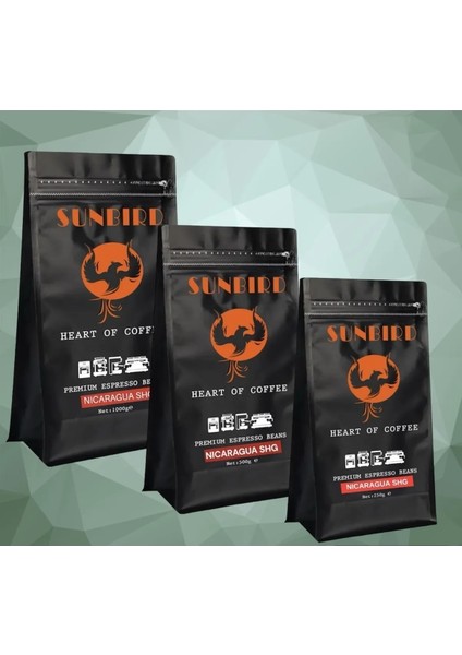 Nicaragua Shg Espresso Single Origin Çekirdek Kahve 1 kg