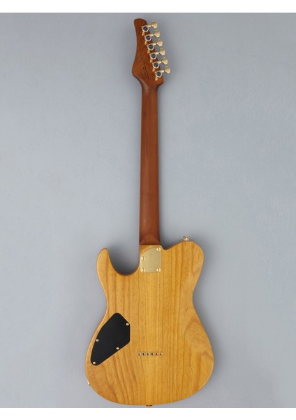 EILEW2HSRM/VNT Iliad Elektro Gitar