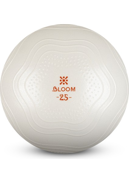 LB7001 25 cm Mini Pilates Topu Beyaz + Pompası