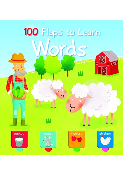 100 Flaps To Learn: Words (Ciltli)