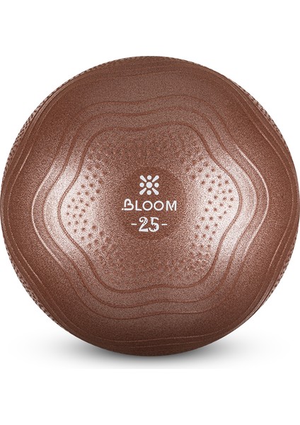 LB7001 25 cm Mini Pilates Topu Kahverengi + Pompası