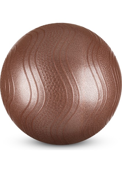 LB7001 25 cm Mini Pilates Topu Kahverengi + Pompası fiyatları