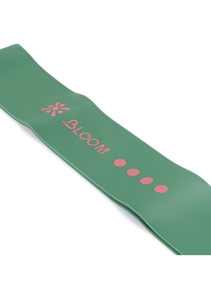 LB7061 Loop X-Sert Egzersiz Bandı modelleri