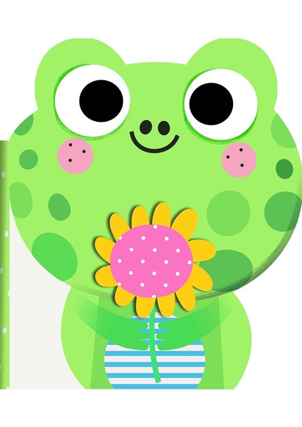 Baby’s Soft Buddy: Frog (Ciltli)