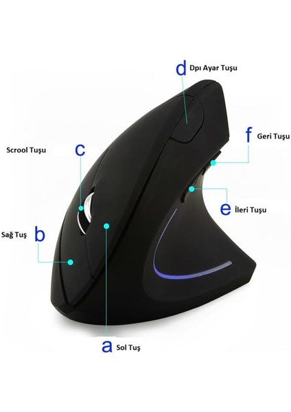 Kablosuz Ergonomik Dikey Mouse 800/1200/1600 Dpi