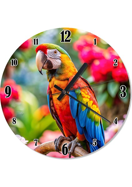 Sevimli Papağan Özel Tasarım Duvar Saati Duvar Saati