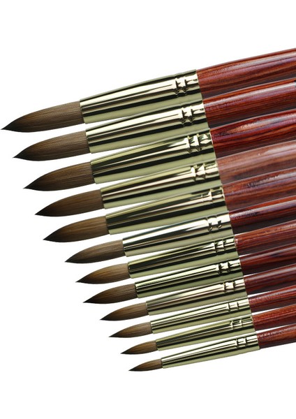 G-B282-A24 Stili 12 Stilleri Saf Kolinsky Samur Akrilik Tırnak Fırçası Uv Jel Oyma Sıvı Toz Kristal Kalem Dıy Çivi Sanat Manikür Aracı (Yurt Dışından) fırsatları