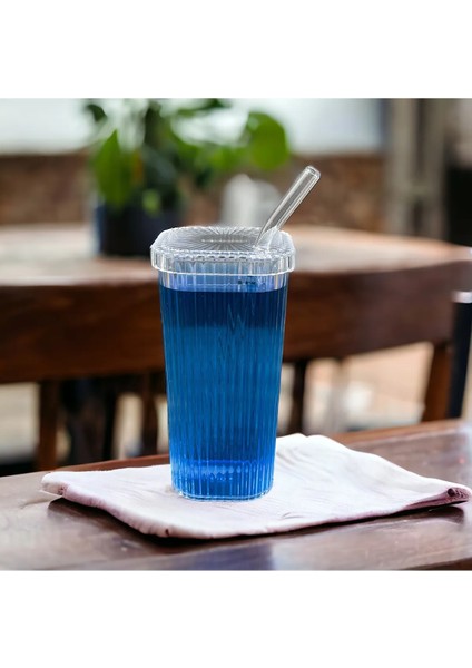 Kare Mika Kapaklı Pipetli Pinterest Bardak Soğuk Kahve Meşrubat Bardağı (Pipet Cam Bardak Mikadır) 2 Adet