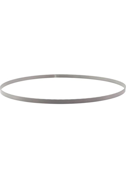 Bant Kesme Testeresi 3lü PKT1140MM T48390511