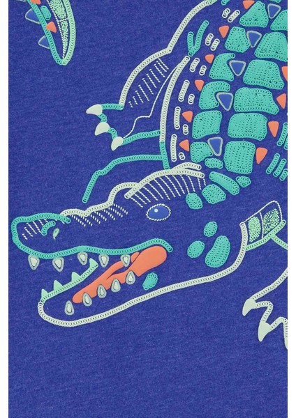 Küçük Erkek Çocuk Tshirt