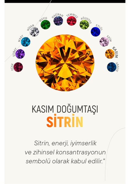 Kasım Sitrin Doğum Taşı Çiçek Motifli Telkari Gümüş Küpe