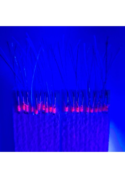 Çapari İstavrit Çaparisi, 15x12 Beden, Ultraviyole Uv Neon Gri Sim, 11 No Beyaz İğne 10 İğneli Çapari 2li Paket