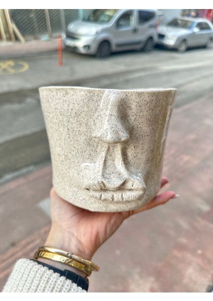 Yüz Model Seramik Saksı fiyatları