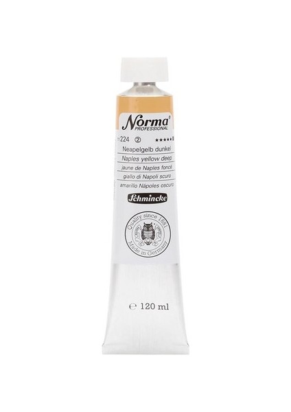 Norma Professional : Yağlı Boya : 120 ml : Naples Yellow Deep