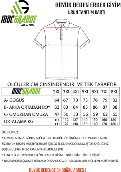 Moc Grande Mocgrande Erkek Büyük Beden Polo Yaka Üçgen Baskılı T-Shirt 24450 Mavı